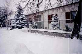 1995 Winter in Zurndorf 12HJ
