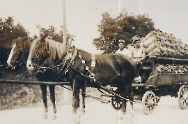 1920 Milchtransport in Zurndorf 145AH