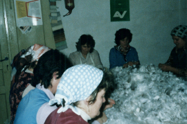 1984 Federn schleissn in der Tischlerei E. Lambert, I. Ebner, M. Meixner, E. Weiss, M. Ebner 14EIN