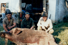 1981 Basse 160kg 21PRO