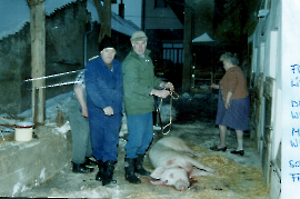 1995 Schweineschlachten W. Macher, W. Dürr, F. Schiessler, Fr. Liedl 298DÜF