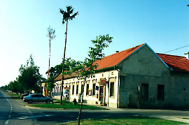 2000 Gasthaus Prominzer 2 Maibäume 291PM