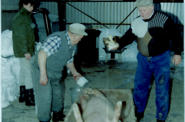 1995 Schweineschlachten G. Liedl, W. Macher, F. Dürr 31DÜF