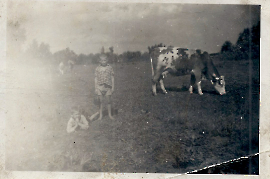 1932 auf der Weide 40BECK