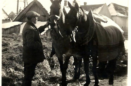 1935 Bauer mit Pferden 41BA
