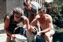 1982 Hund in der Badewanne J. K. K. Kuhne 69K