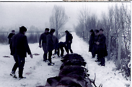 1985 Streckenlegung Zurndorf 7MEIXE