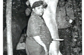1966 Schweineschlachten bei Schneefall P. Amri 111AM