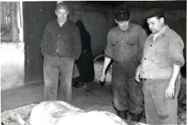 1965 Schweineschlachten 270 kg M. Schiermayer, P. Amri 113AM