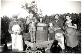 1953 bei der Weinlese 97AM