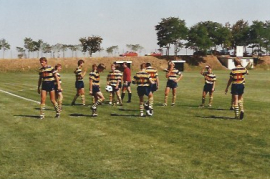 1988 ASV Zurndorf 51ZJ