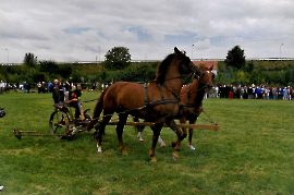 1999 1. Zurndorfer Nostalgiefest Erich Szigeti am Mähbalken 116GEZ