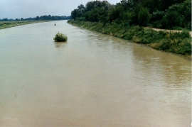 1990 17 Leitha Hochwasser