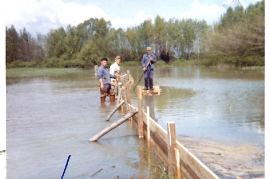 1965 72P Hochwasser