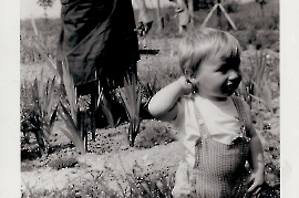 1960er K. Schmidt, H. Zapfl 113ZA