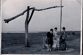 1963 Maria Magdalena Szabo, Christine Bauhofer, Brigitte Kudranatsch (Tochter vom ehm. Zahnarzt in Zurndorf) 31BAUM