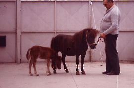 1965 J. Lengyel 41LEN