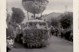 1960er Fa. Bech am Gladiolenfest in Neusiedl 99DW