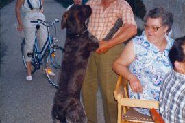 1988 Gassenfest Lagergasse J. Hoffmann tanzt mit dem Hund gekommen, 31DEM